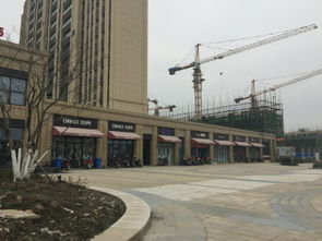 華紡和成未來派 上海華紡和成未來派配套實景圖,樣板間,效果圖,戶型圖 上海網(wǎng)易房產(chǎn)