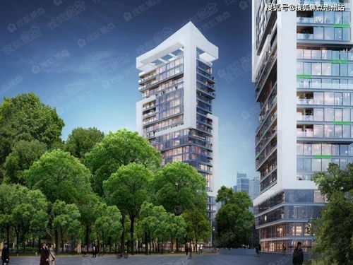 中鷹黑森林 上海生態(tài)豪宅新典范，城市森林里的理想家園